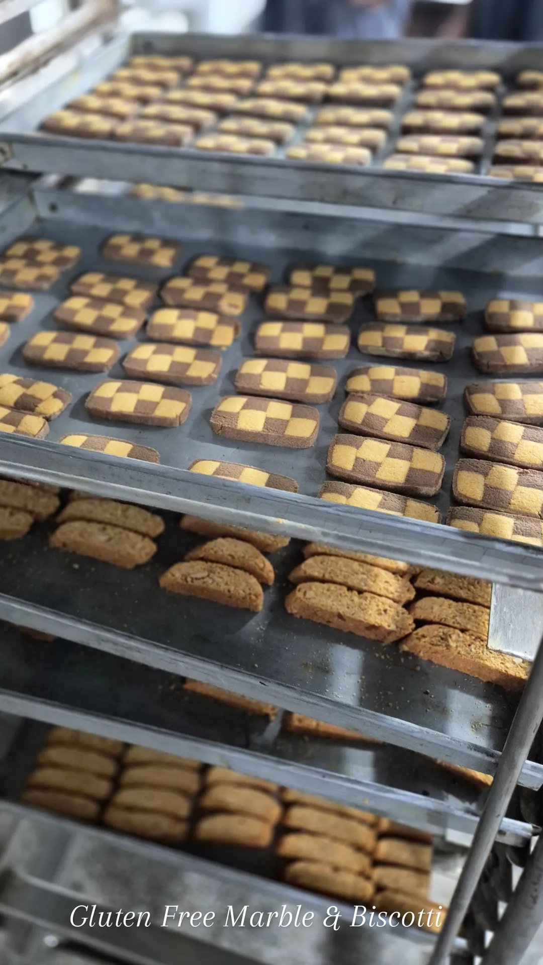 Gluten Free Marble Biscuits