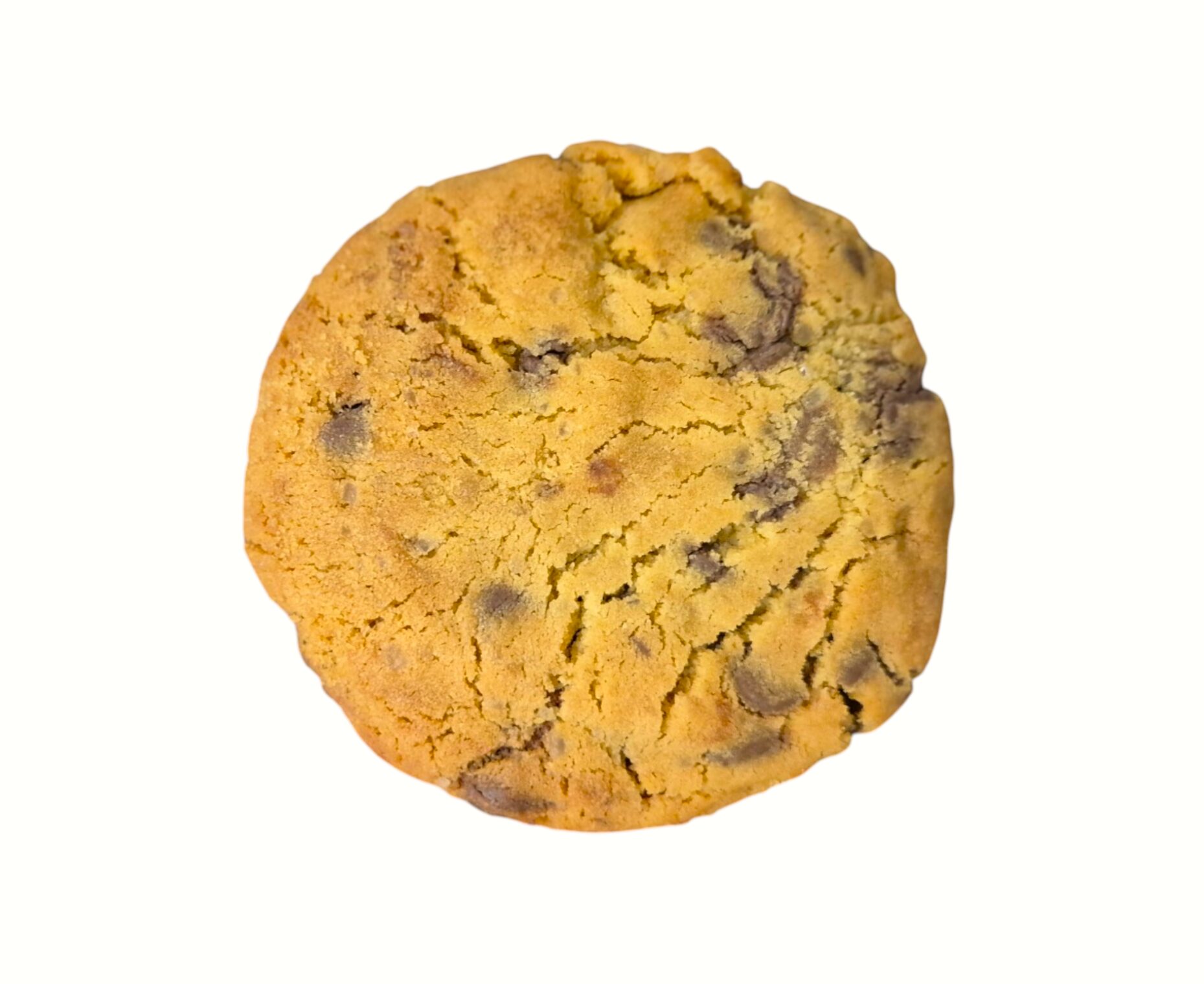 Gluten Free NY Style Chocolate Cookie