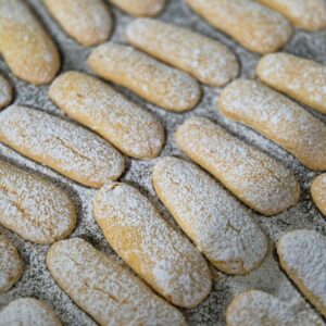 Gluten Free Ladyfingers