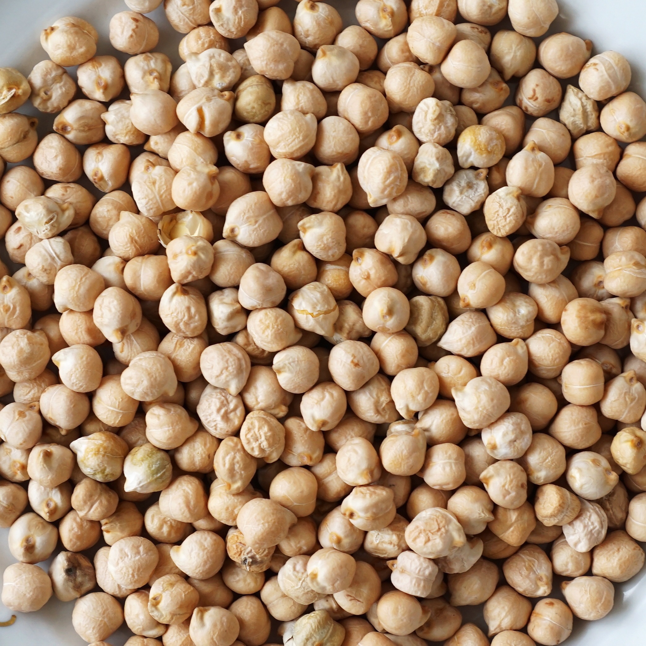 Gluten Free Chickpea